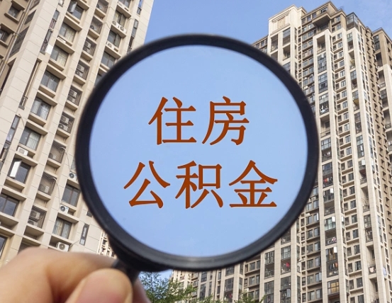 莱芜退休后查不到公积金明细了吗（退休后公积金查询不到原因）